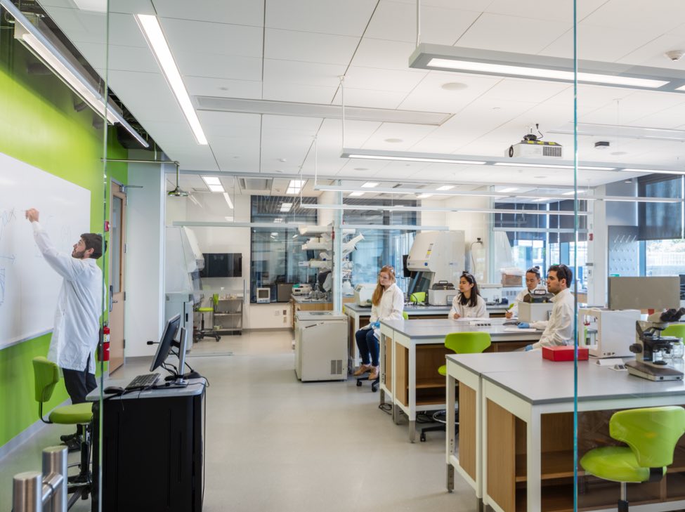 whiteboard lighting in university lab