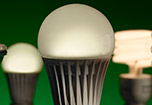 Collection of light bulbs